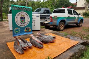 PMA fecha operação com 1 tonelada de pescado apreendido