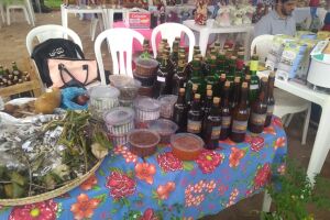 UFMS promove feira de produtos livre de agrotóxicos