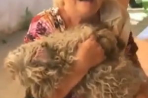Dona da cachorra chorou com o corpo do animal no colo