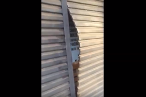 VÍDEO: ladrão furta loja, danifica portas de comércios, mas acaba preso