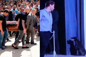 Cadela de Emiliano Sala vai ao velório do dono e emociona as redes sociais