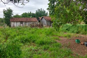 Bandidos arrombam galpão e furtam produtos para animais em MS