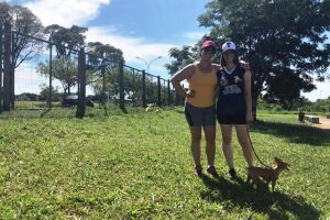 Parque do Sóter ganha novos participantes após a liberação de passeio com cães