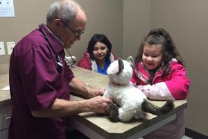 Veterinário atende gato de pelúcia "doente" de menina autista