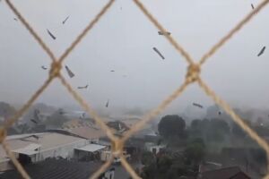 VÍDEO: ventania e chuva provocam ‘dança das telhas’ no céu de Campo Grande