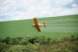 Avião agrícola se envolve em acidente ao tentar decolar