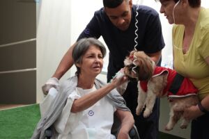Lei libera entrada de animais de estimação em hospitais
