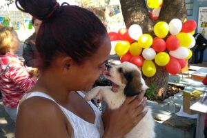 Feira de adoção no CCZ tem mais de 100 animais à espera de um lar em Campo Grande
