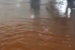 VÍDEO: chuva alaga escola municipal em Campo Grande