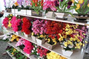 Procon Estadual realiza pesquisa e detecta diferença de até 255,56% em produtos de floricultura