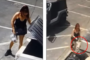 Mulher é presa após ser filmada jogando filhotes no lixo