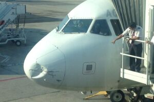 ATÉ CAPIVARA: Campo Grande registra 41 colisões de aviões com animais em 12 meses