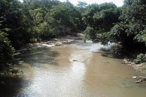Pantanal de Rio Negro é palco de farra com caça e pesca ilegais durante 'feriadões', diz morador