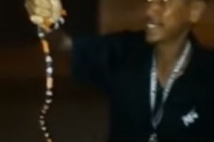 VÍDEO: homem brinca com cobra-coral, é picado e morre