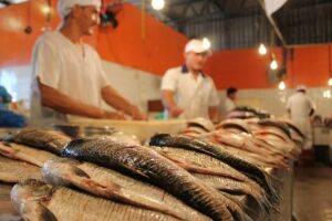 Procon Estadual realiza pesquisa e detecta diferenças que chegam a 181% em preços de pescados
