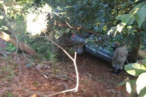 Motorista perde controle da direção de carro, cai em barranco e bate em árvore