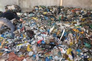 Disfarce pro cheiro: polícia flagra 2,6 toneladas de maconha em depósito de recicláveis