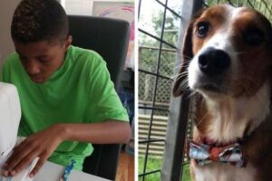Jovem faz gravatas para cachorros e gatos para incentivar doação