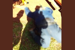 Chefe da polícia paraguaia é executado em área isolada na fronteira com MS