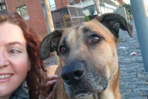 Mulher adota cachorro que esperou por ela durante 6 meses do lado de fora de aeroporto