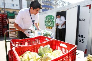 Em um mês, projeto em MS distribuiu 170 toneladas de alimentos para 25 mil pessoas