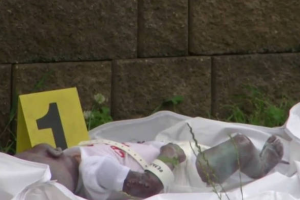 'Bebê' encontrado 'morto' do lado de fora de parque era boneca reborn