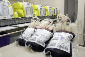 Junho Vermelho: campanha conta com a solidariedade para incentivar a doação de sangue