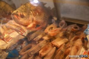 Prejuízo: comércio é furtado e criminosos levam 50 quilos de peixes