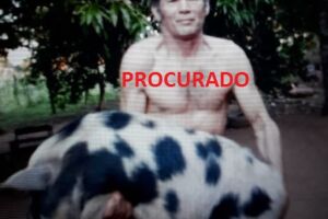 Polícia procura acusado de matar ex-mulher e o companheiro dela em Terenos