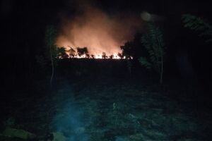 Polícia acredita que incêndio que atingiu mata na BR-158 pode ser criminoso