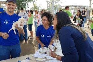 CCZ promove feira de adoção de cães e gatos neste sábado