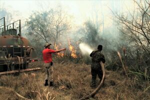 Guerra contra o fogo: brigadistas continuam combatendo incêndio no Pantanal