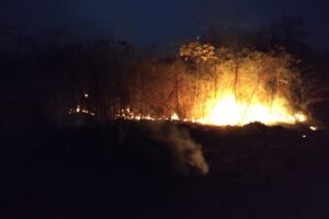 Incêndio florestal mobiliza até Exército e chega perto da zona urbana de Bonito