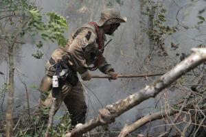 Força-tarefa intensifica combate às queimadas no Pantanal e protege o Parque Rio Negro