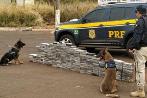 PRF usa cães e descobre cocaína avaliada em R$ 24 milhões