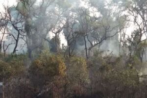 Incêndio destrói parte de reserva indígena no sul de MS