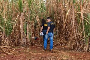Índia é achada morta e com sinais de estupro em canavial de aldeia