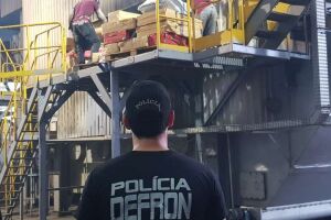 18 toneladas de drogas apreendidas na fronteira são incineradas pela Defron