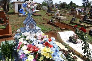 Procon encontra flores até três vezes mais caras para o Dia dos Finados