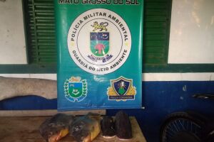 PMA autua dono de conveniência por venda de pescado ilegal em Aquidauana