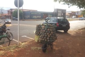 Vendedor de abacaxi ameaça servidores públicos e acaba preso por desacato
