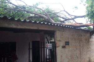 VÍDEO: dia é de reconstrução para moradores atingidos por temporal no Zé Pereira