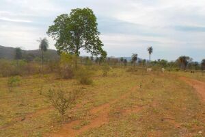 Homem é multado em R$ 46 mil por desmatamento ilegal de vegetação nativa