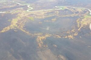 Focos de incêndios são controlados e força-tarefa se prepara para deixar o Pantanal