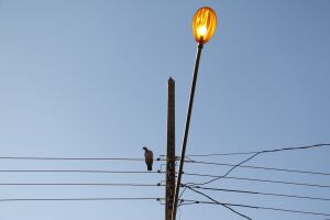 Criminoso tenta furtar fios de energia e acaba agredido por moradores