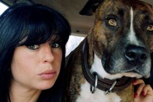 Grávida morre atacada por cães durante caçada em floresta francesa
