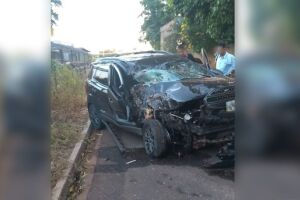 Motorista se assusta com capivara e bate em árvore