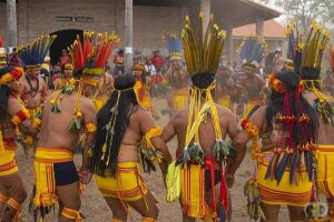 Presidente de Comissão pede reação a ataques contra indígenas em Mato Grosso do Sul