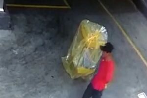 Polícia descobre que 'Da Lua' furtou 50 kg de carne e escondeu em matagal