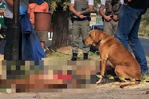 Cão fica ao lado do corpo do dono assassinado no RS e comove a internet